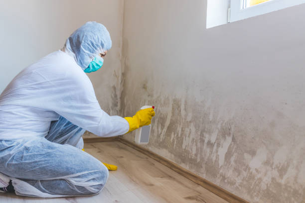 Licensed Mold Remediation service in Prince George, VA - 24 Hour Mold Removal