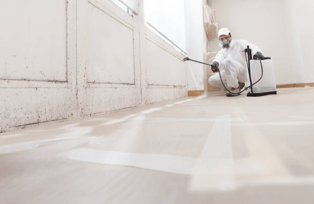24/7 Emergency Mold Remediation experts in Prince George, VA