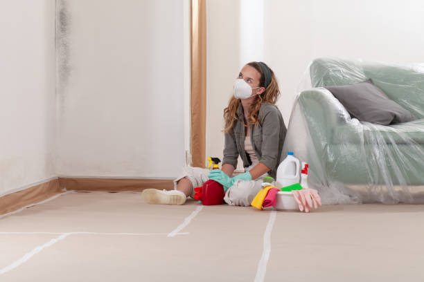Reliable Mold Remediation contractor in Prince George, VA by 24 Hour Mold Removal